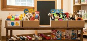 đồ chơi thú cưng tại pet shop SÚP VÀ NẤM