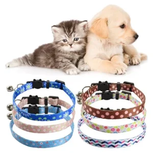 PHỤ KIỆN THÚ CƯNG