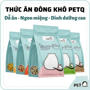 hạt PETQ