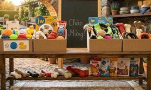 đồ chơi thú cưng