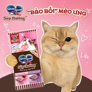 SÚP THƯỞNG SILVER SPOON