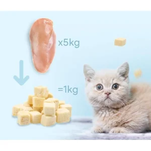 ỨC GÀ SẤY CHO CHÓ MÈO